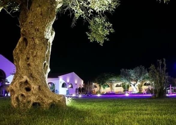 Masseria Colle Carro Ba07200451000019667 Altamura Luaran gambar